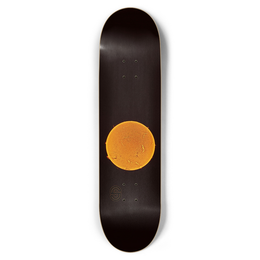 Sun 8.5"