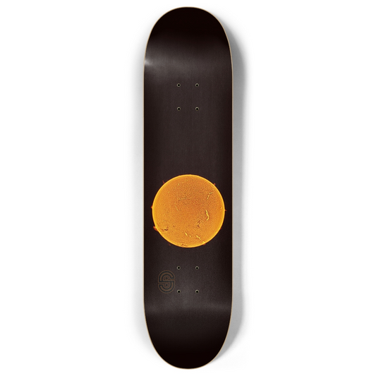 Sun 8.0"
